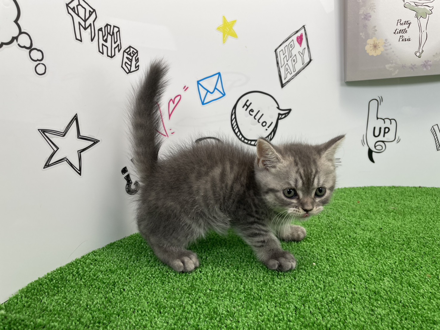 赤ちゃん写真2-2