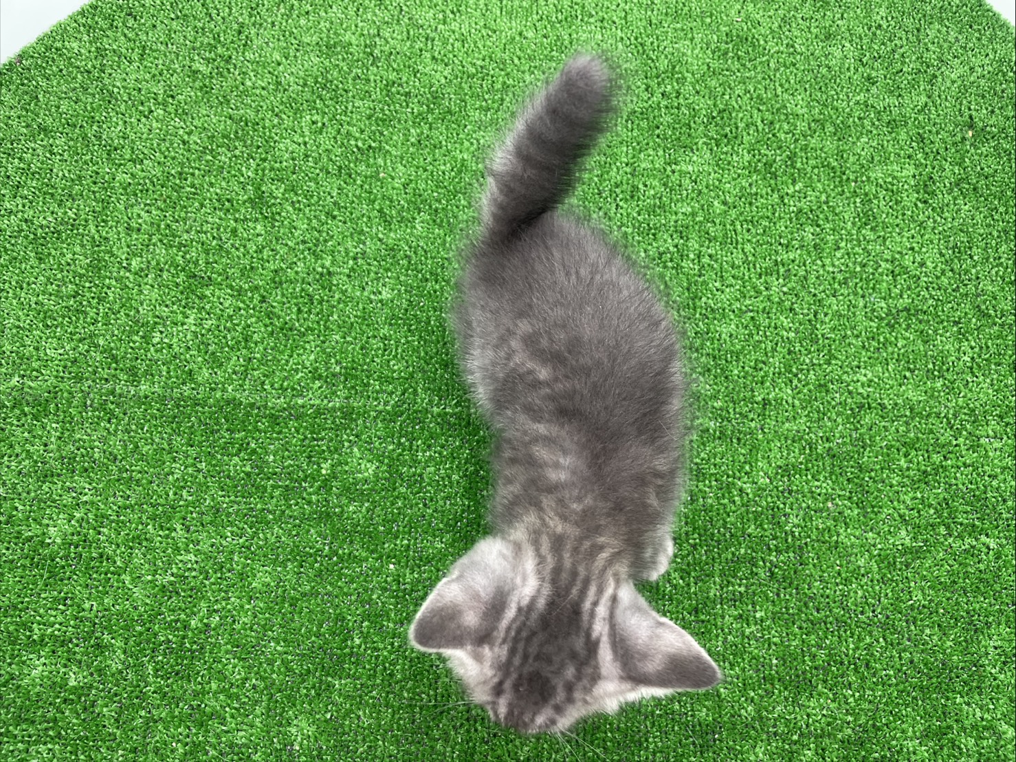 赤ちゃん写真2-3