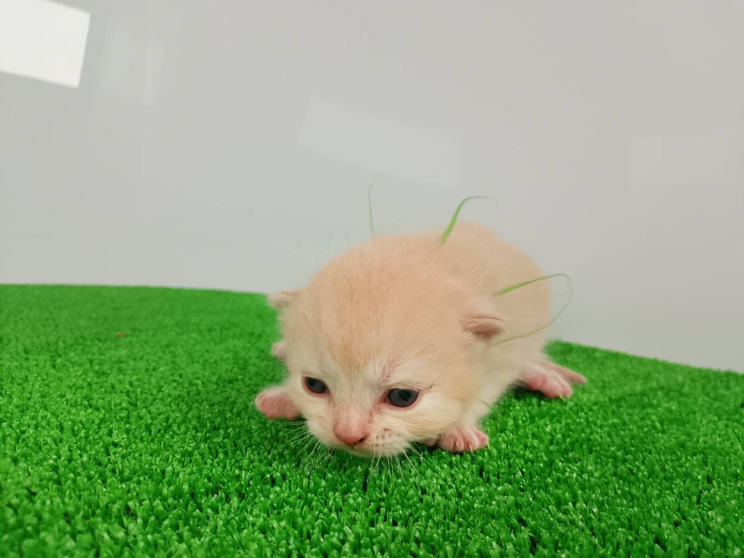 赤ちゃん写真1-1