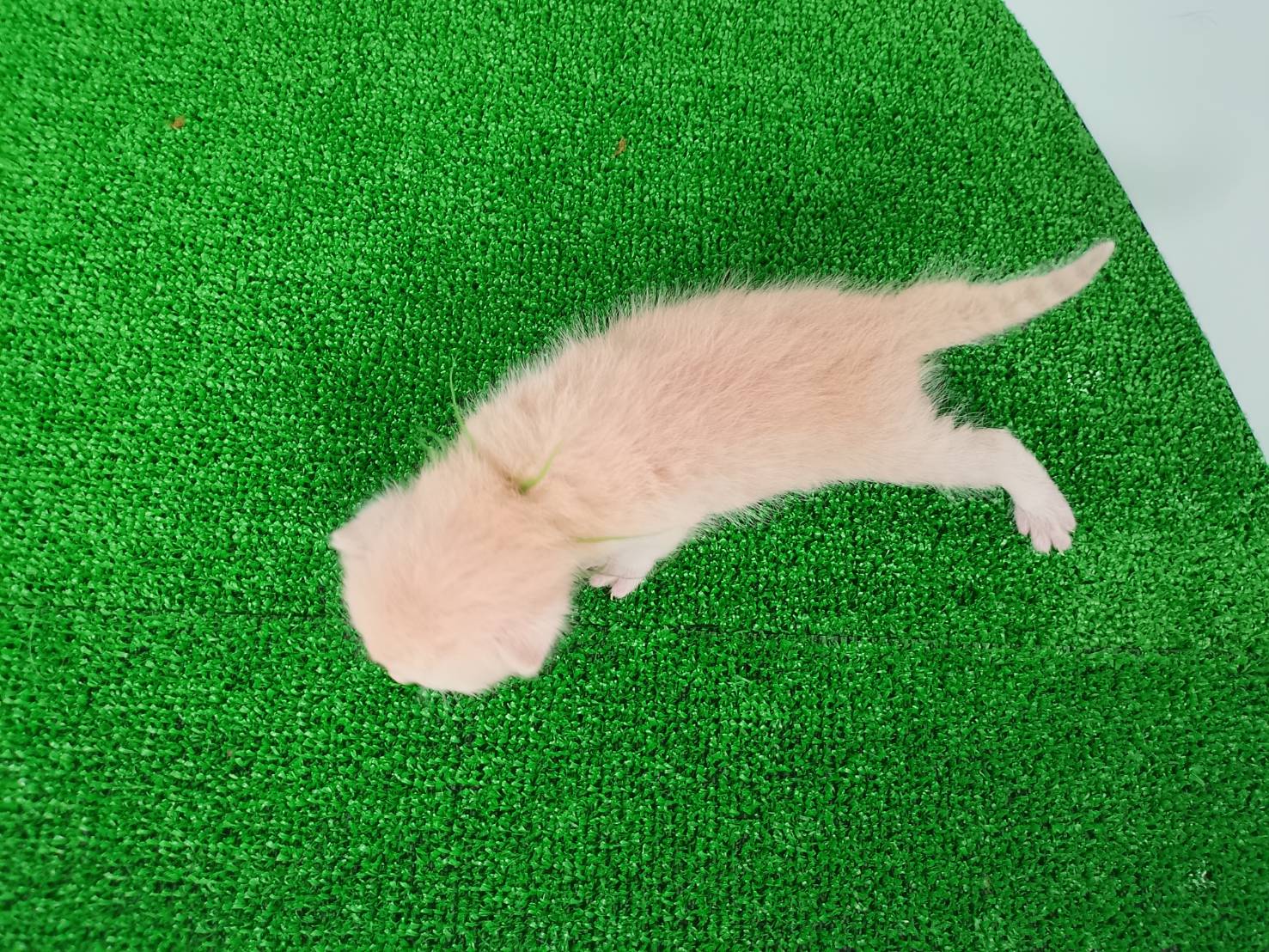 赤ちゃん写真1-3