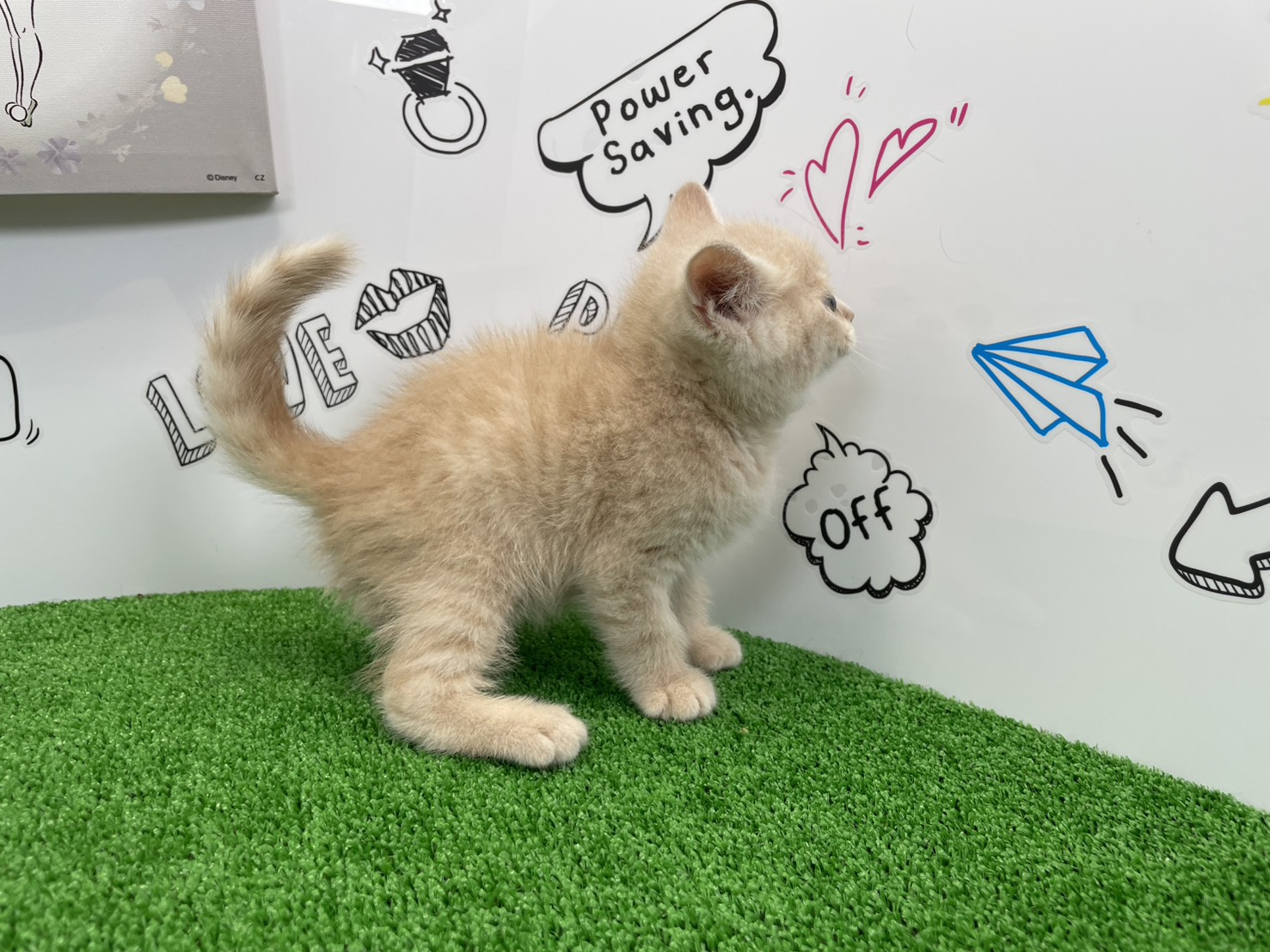 赤ちゃん写真2-2