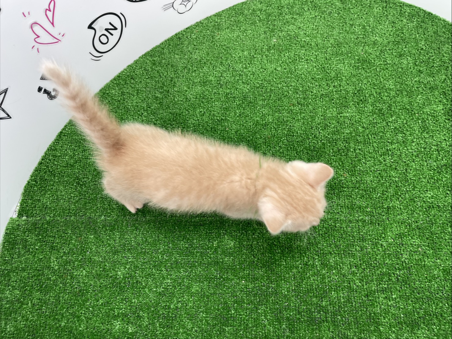 赤ちゃん写真2-3