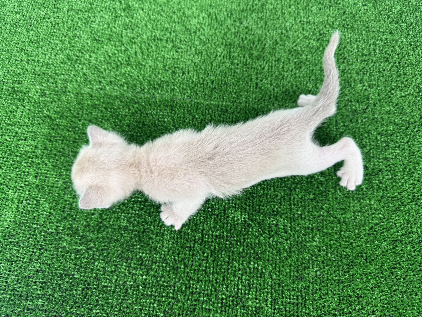 赤ちゃん写真1-3
