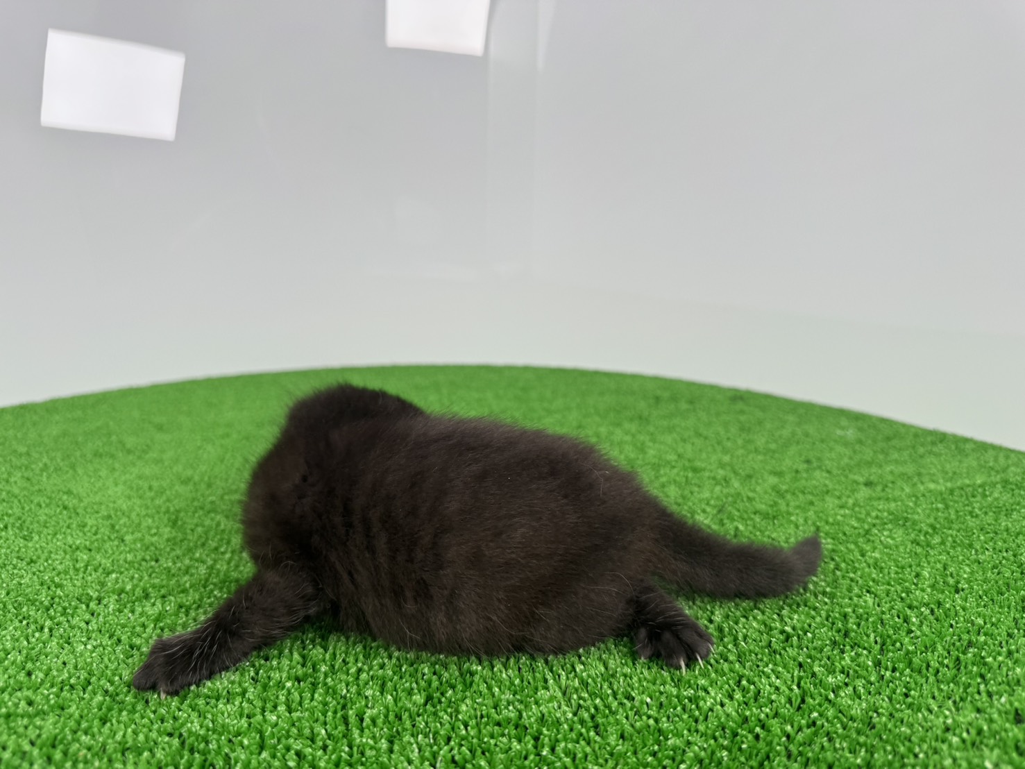赤ちゃん写真1-2