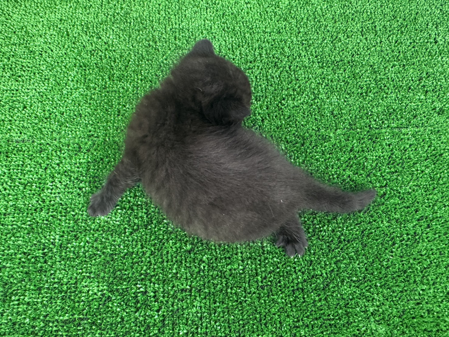 赤ちゃん写真1-3