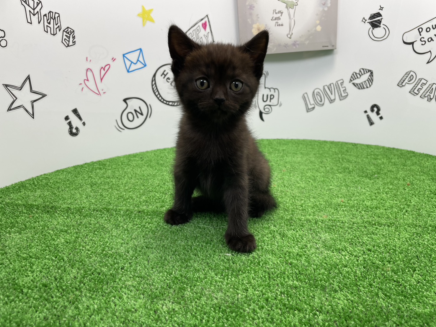 赤ちゃん写真2-1
