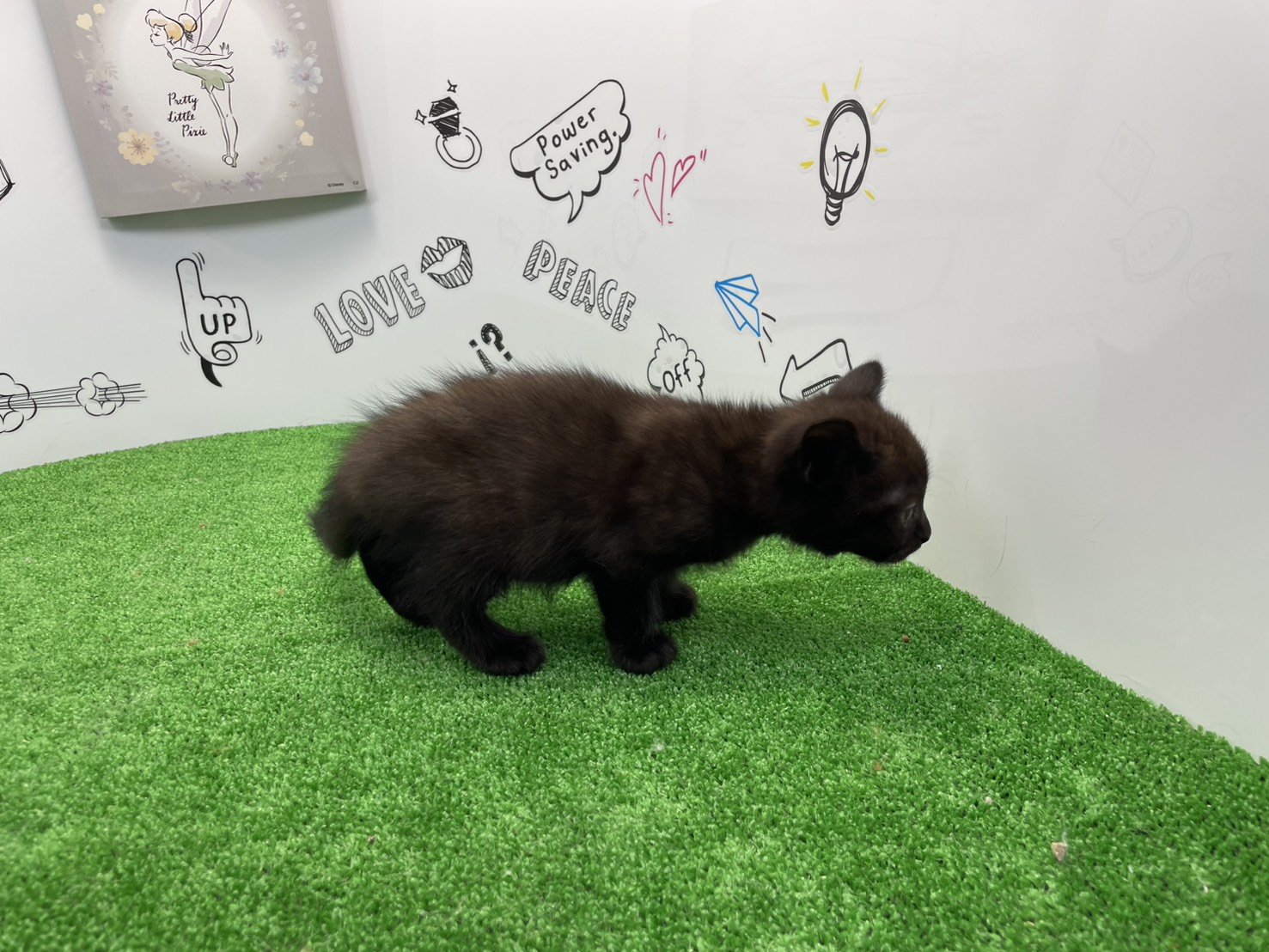 赤ちゃん写真2-2