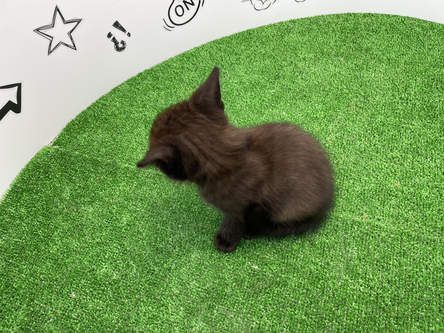 赤ちゃん写真2-3
