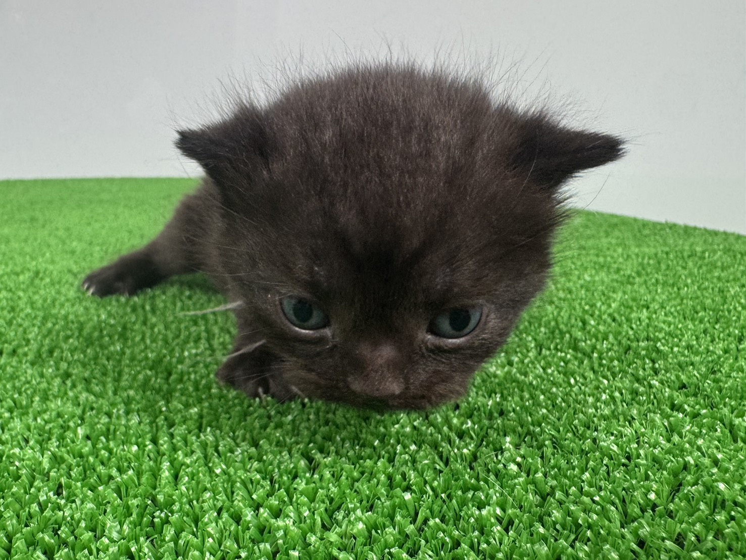 赤ちゃん写真1-1