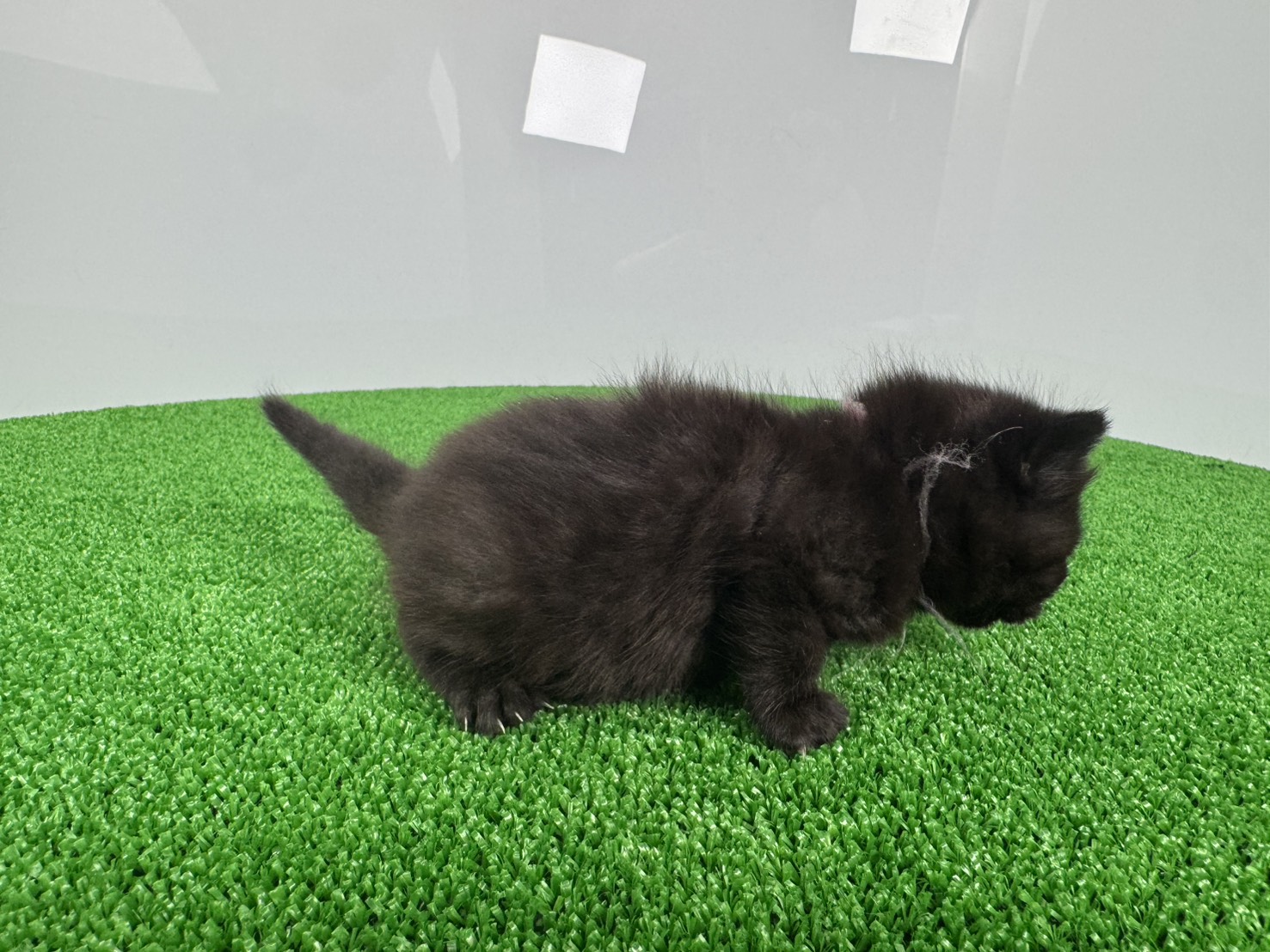 赤ちゃん写真1-2