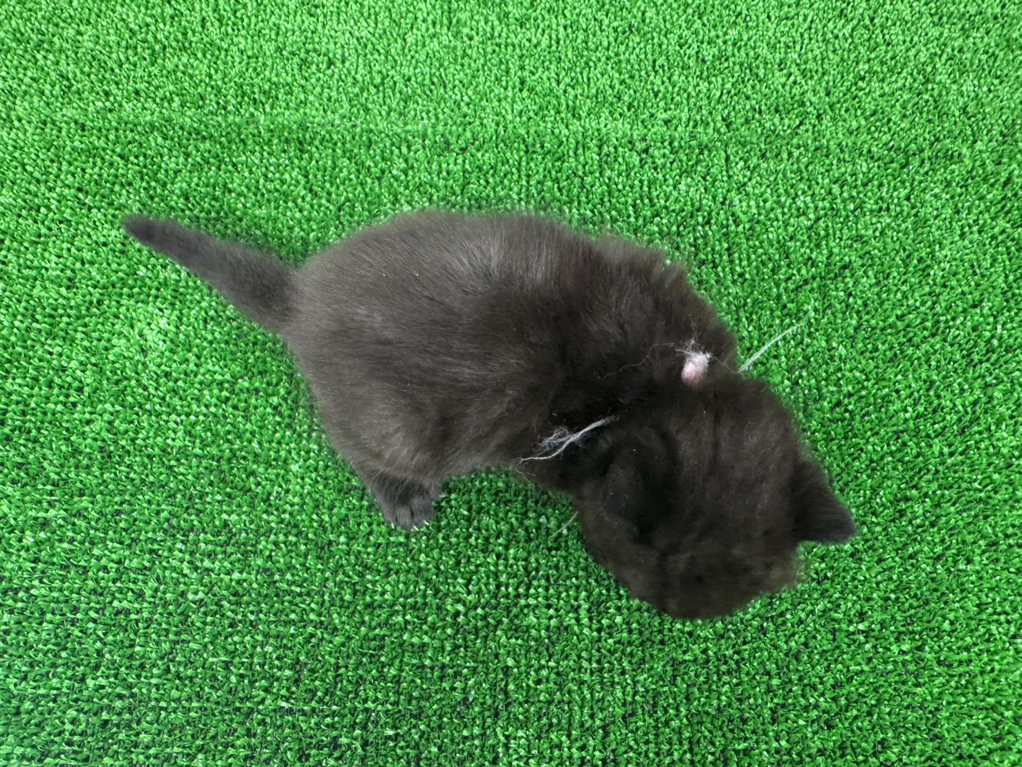 赤ちゃん写真1-3