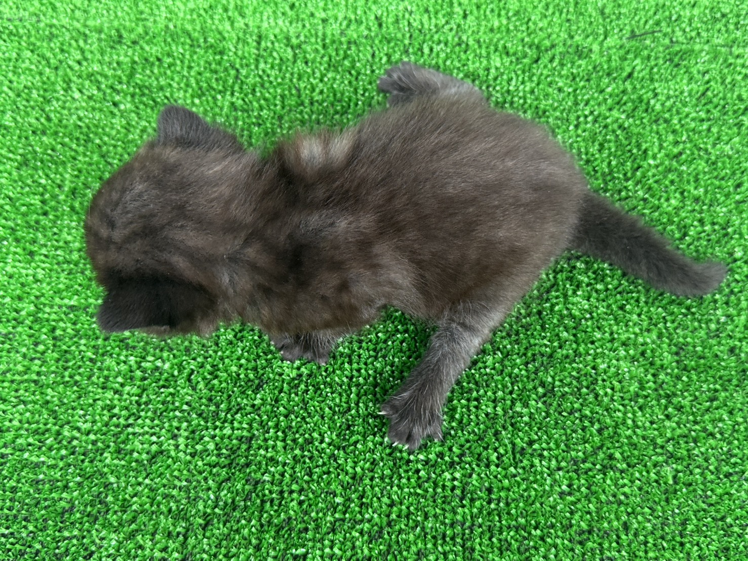 赤ちゃん写真1-3