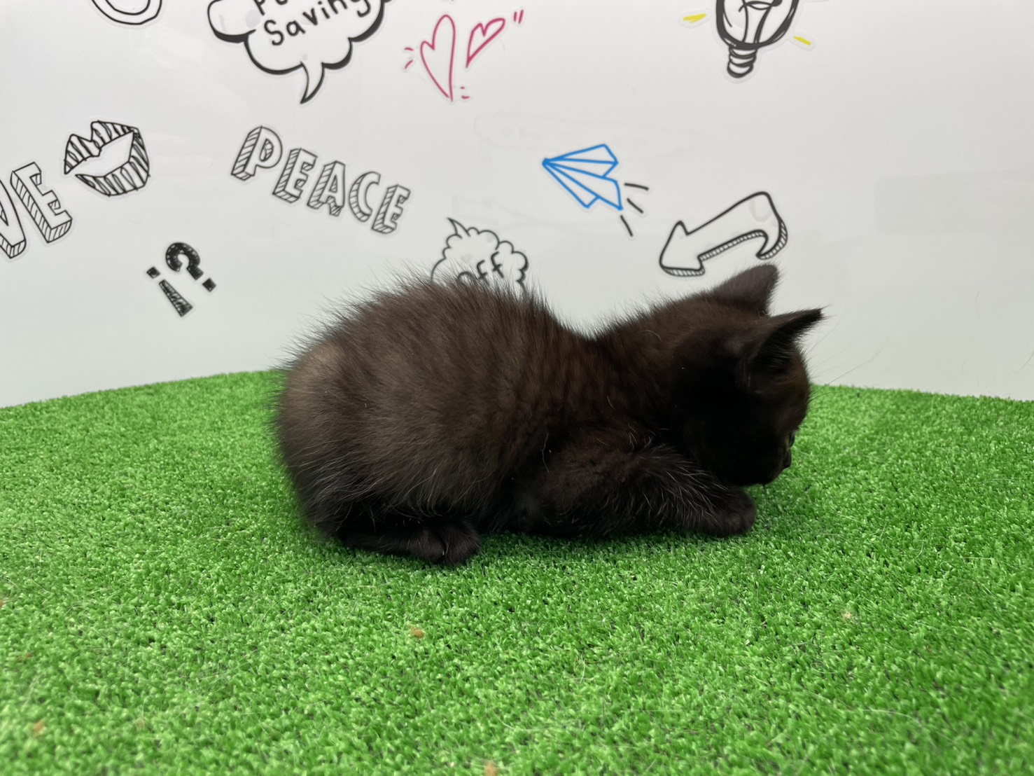 赤ちゃん写真2-2