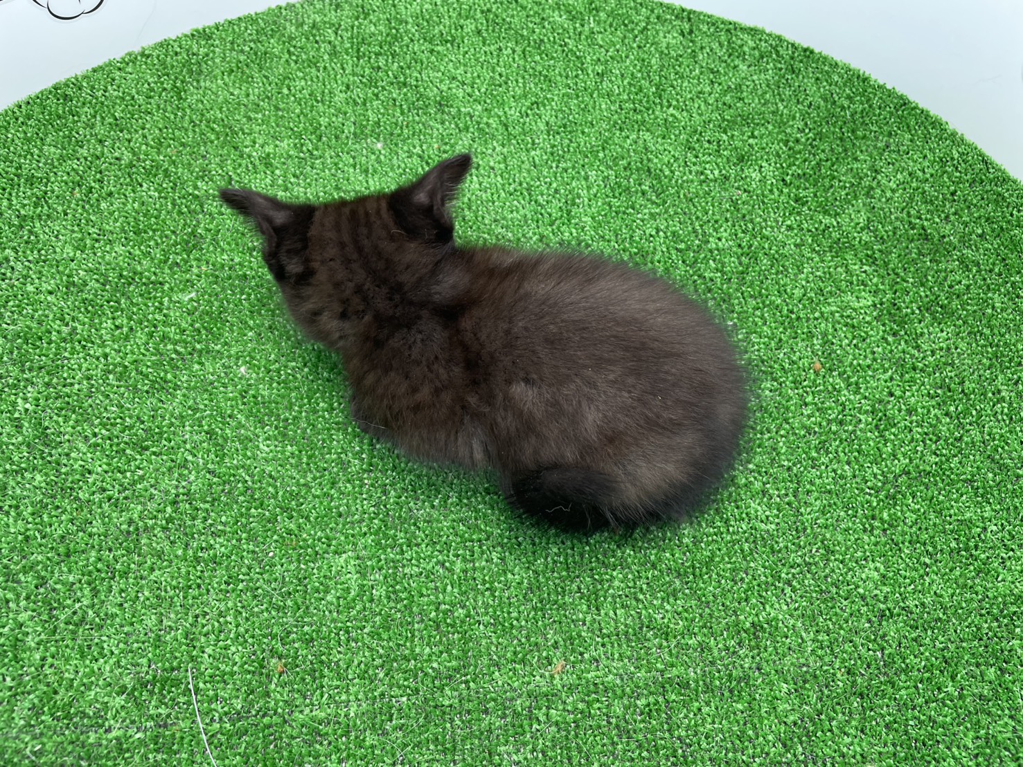 赤ちゃん写真2-3