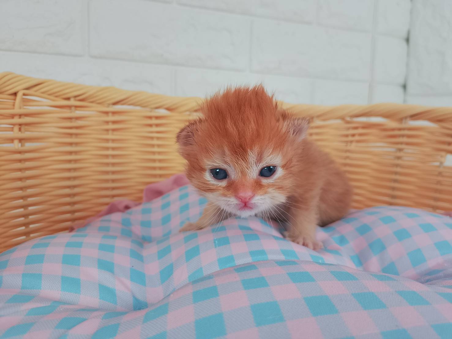 赤ちゃん写真1-1