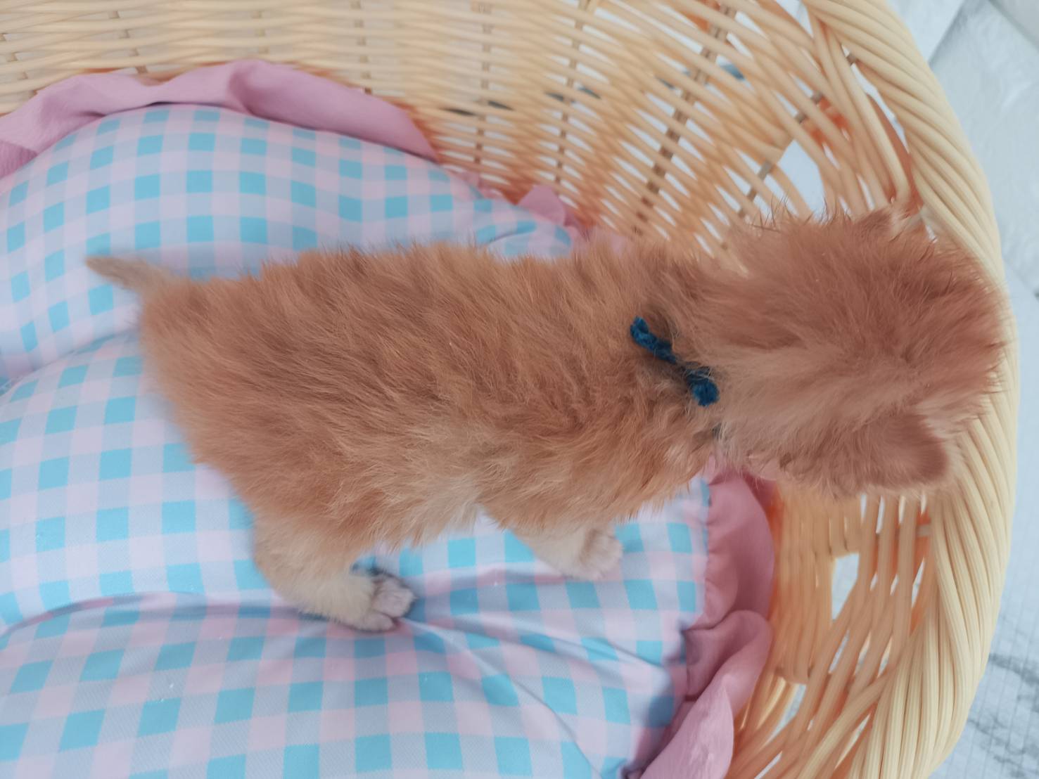赤ちゃん写真1-3