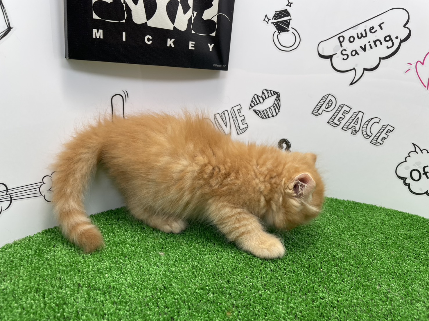 赤ちゃん写真2-2