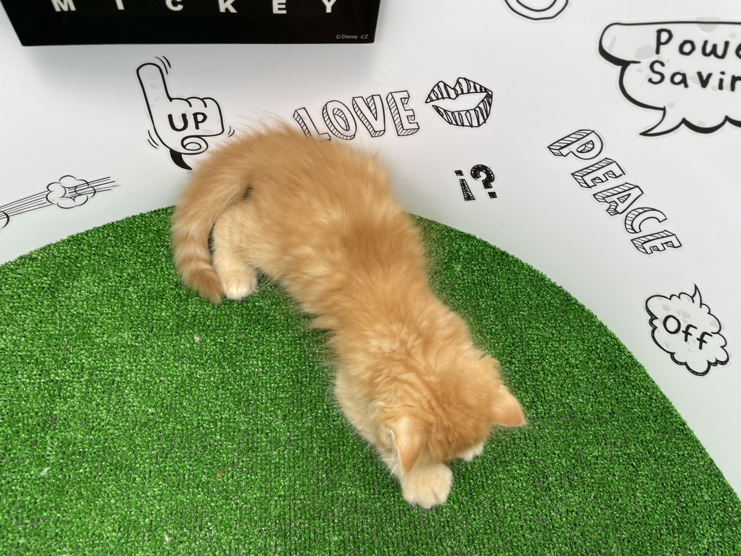 赤ちゃん写真2-3