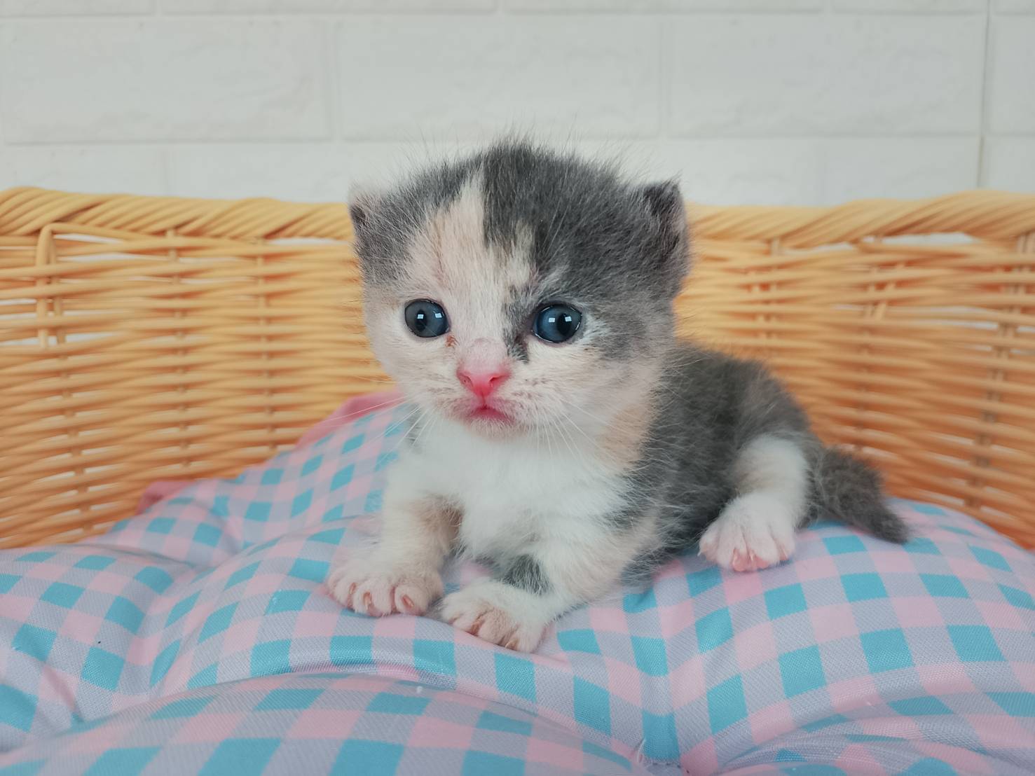 赤ちゃん写真1-1