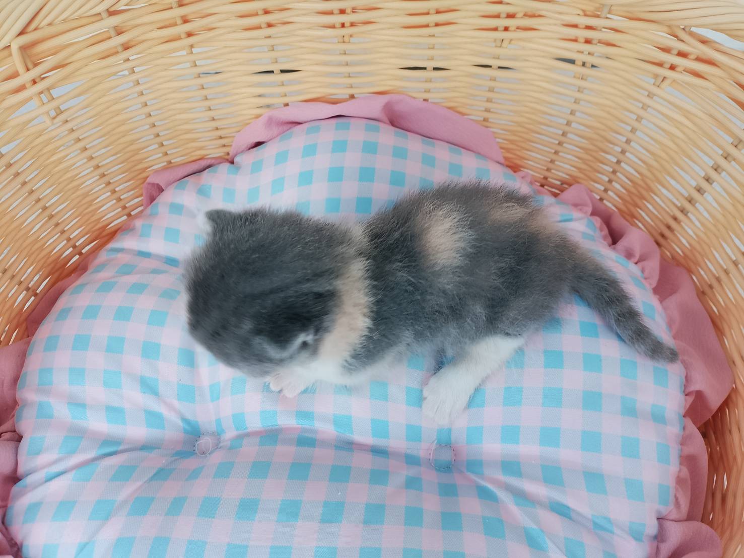 赤ちゃん写真1-3