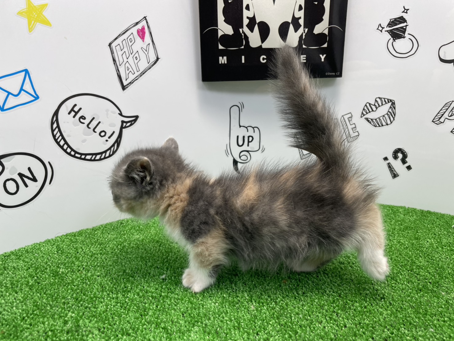 赤ちゃん写真2-2