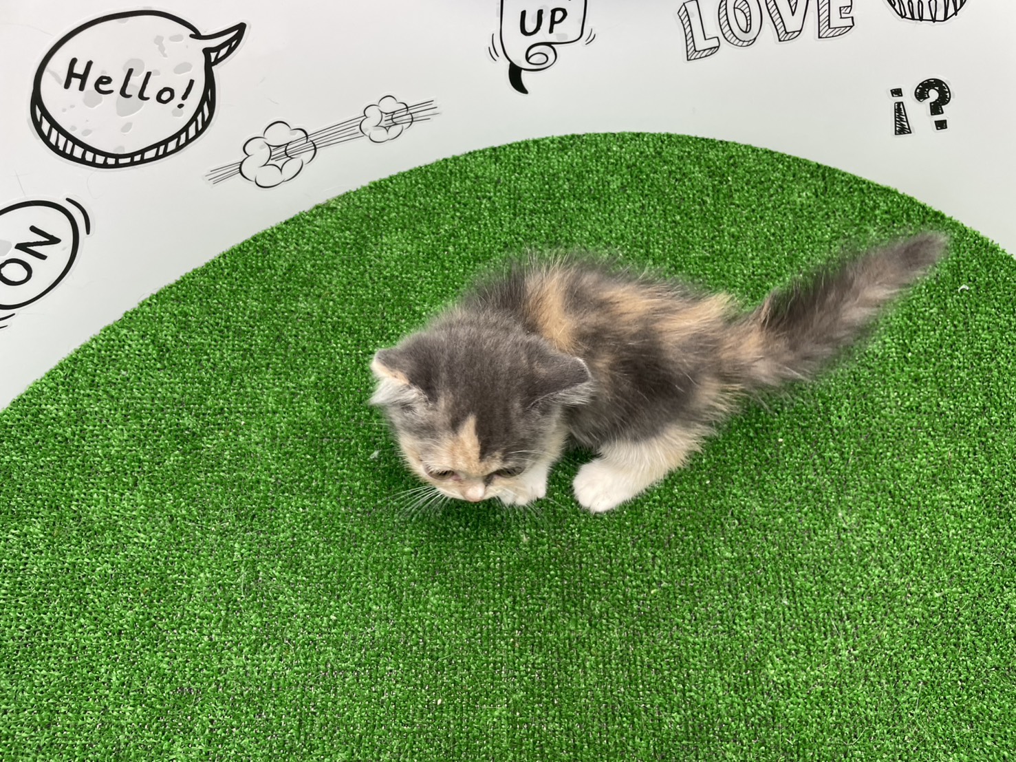 赤ちゃん写真2-3