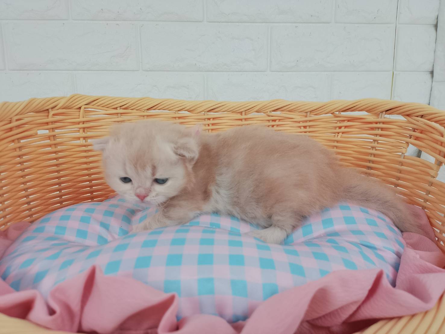 赤ちゃん写真1-2