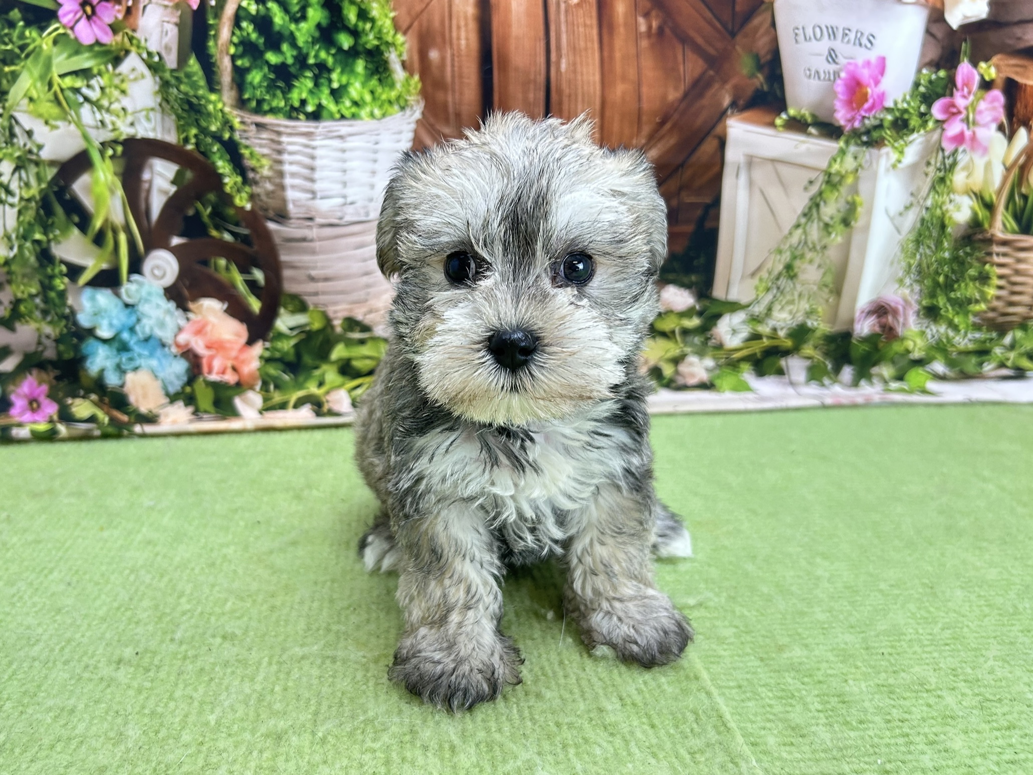 赤ちゃん写真2-1
