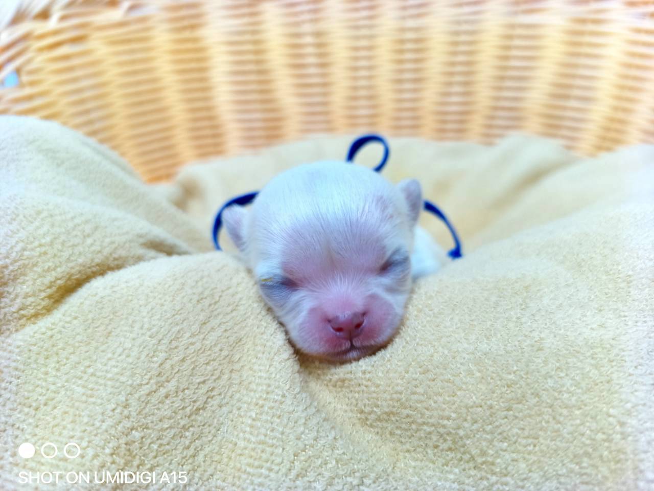 赤ちゃん写真1-1