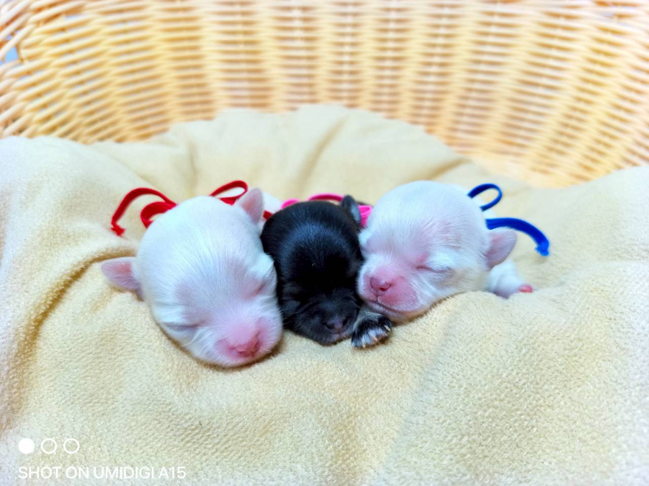 赤ちゃん写真1-3