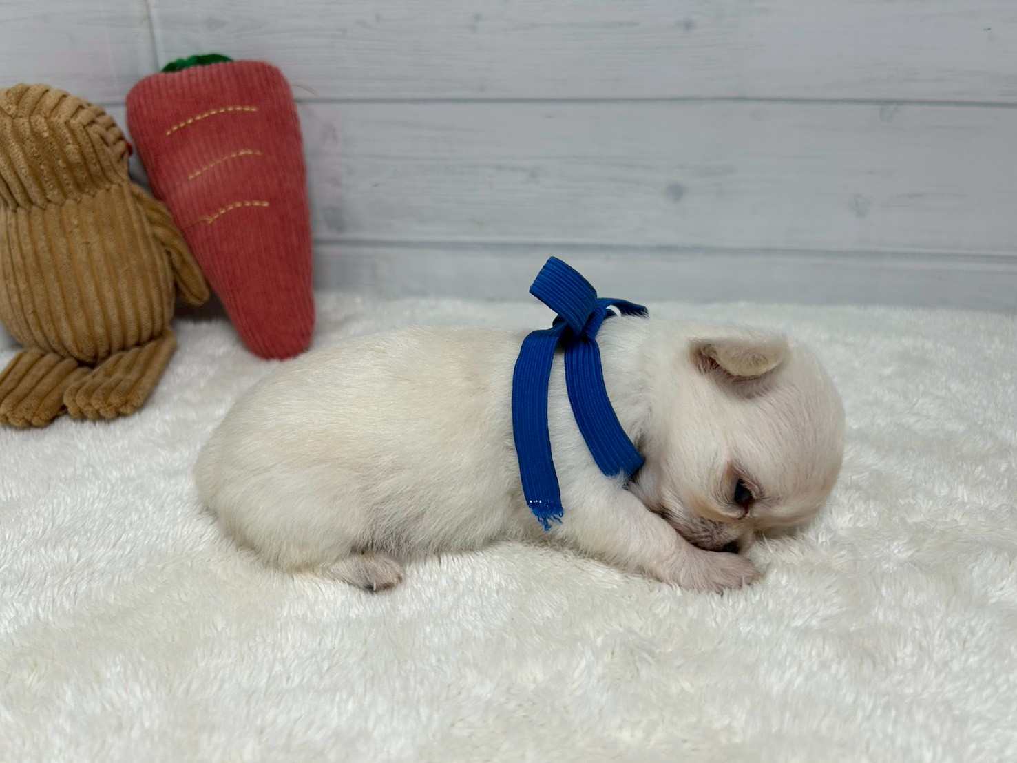 赤ちゃん写真2-2