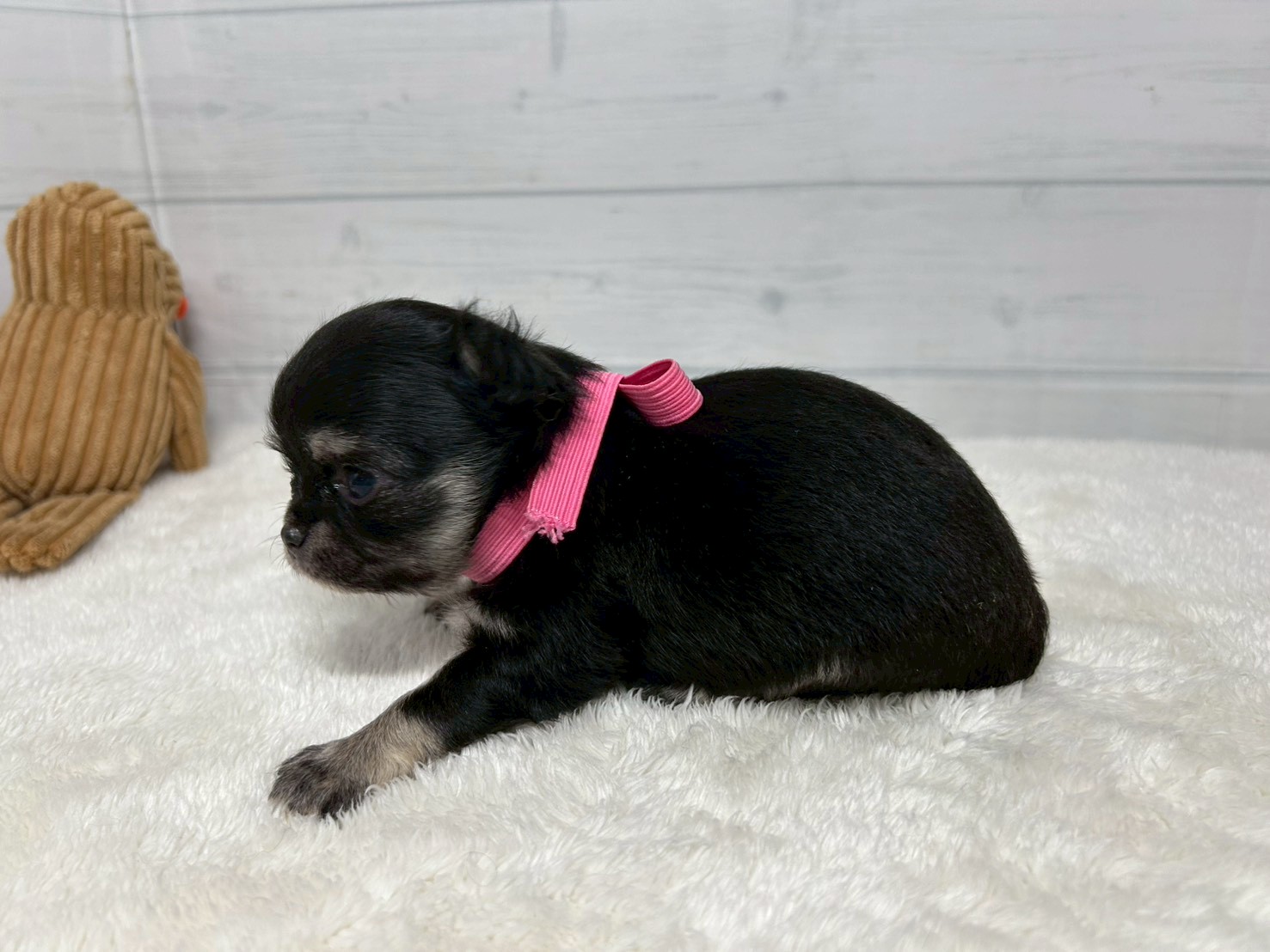 赤ちゃん写真2-2