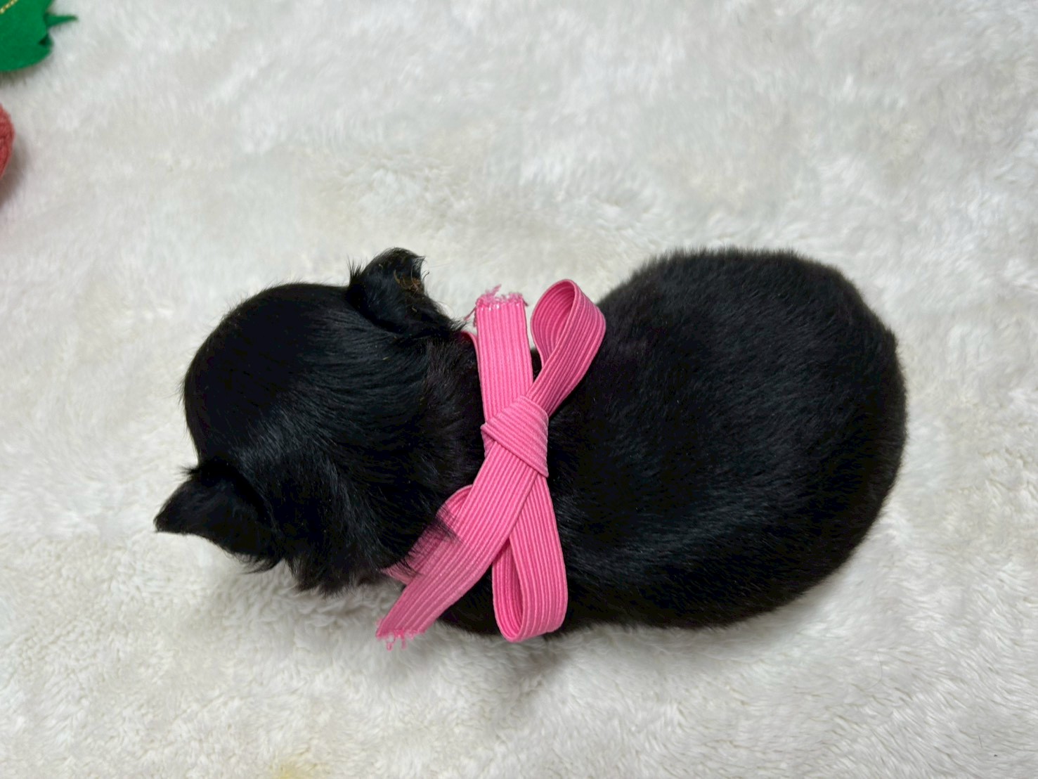 赤ちゃん写真2-3