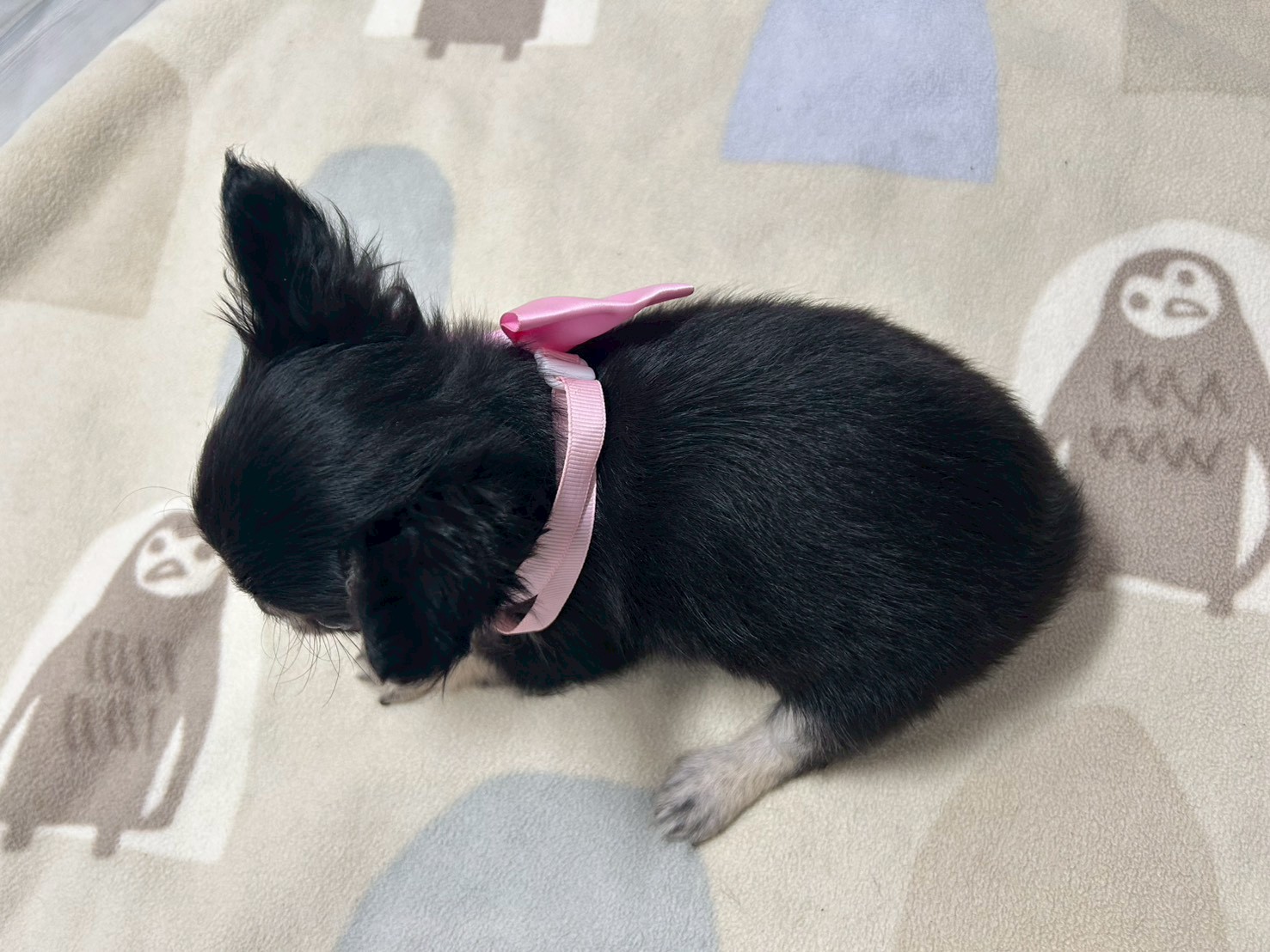 赤ちゃん写真3-3