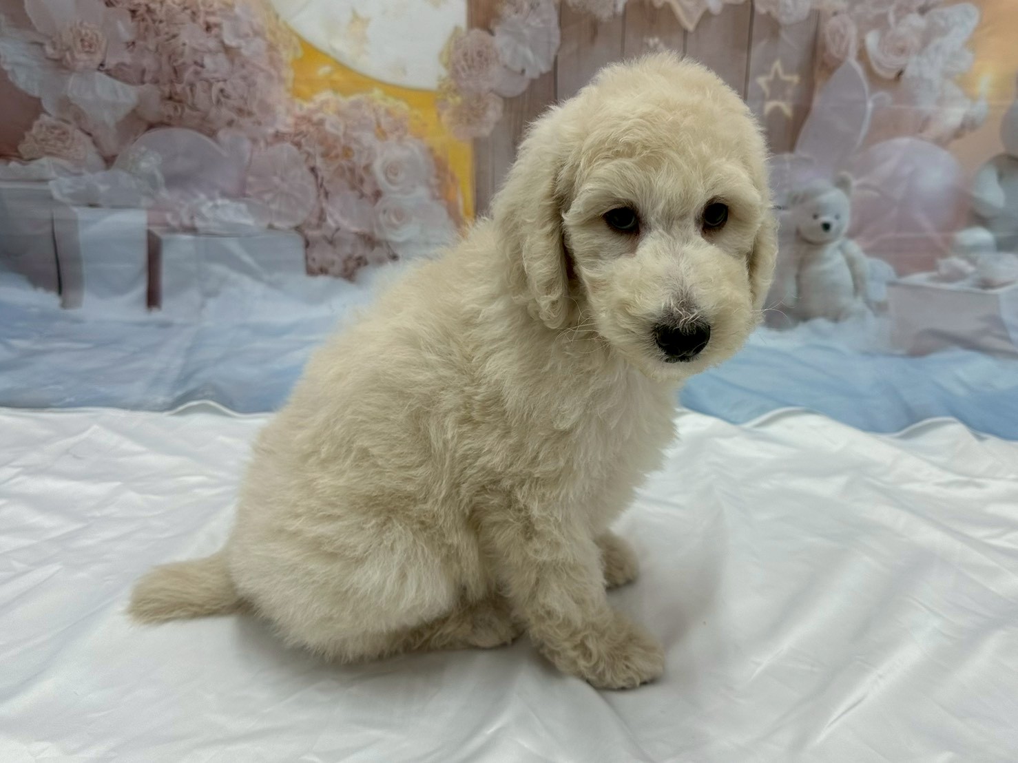 赤ちゃん写真3-2
