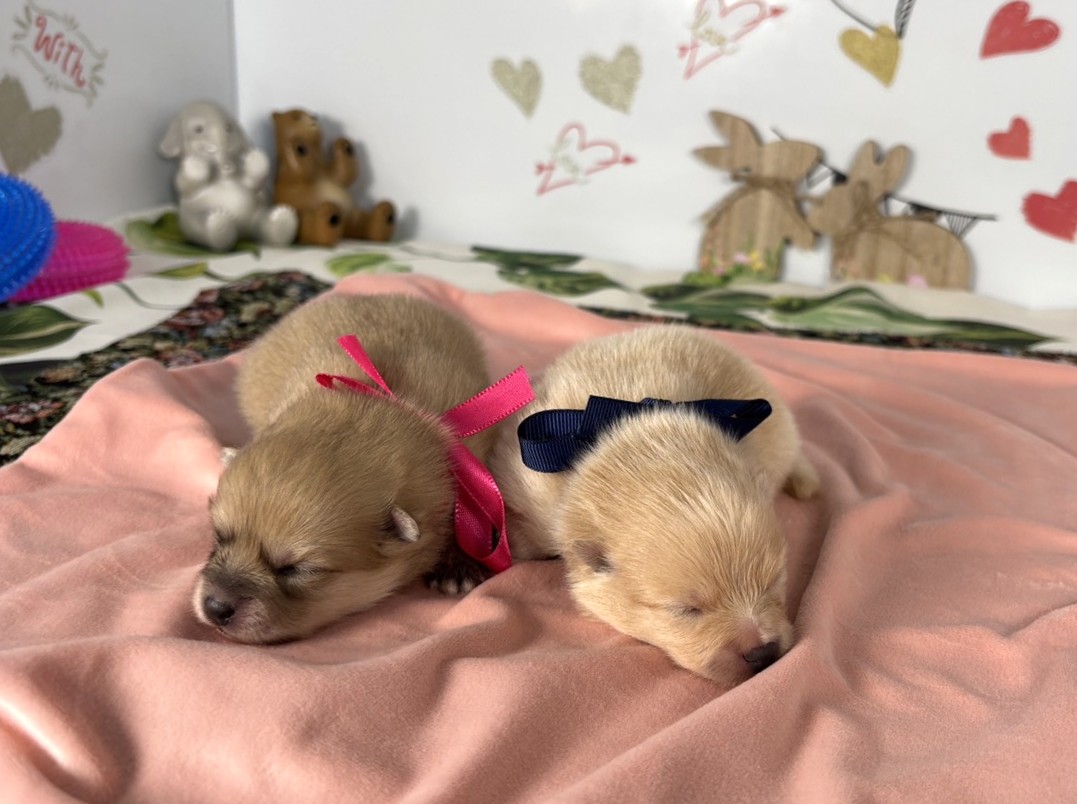 赤ちゃん写真1-3