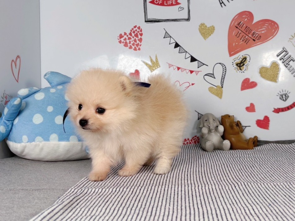 赤ちゃん写真2-2