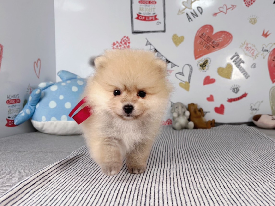 赤ちゃん写真2-1