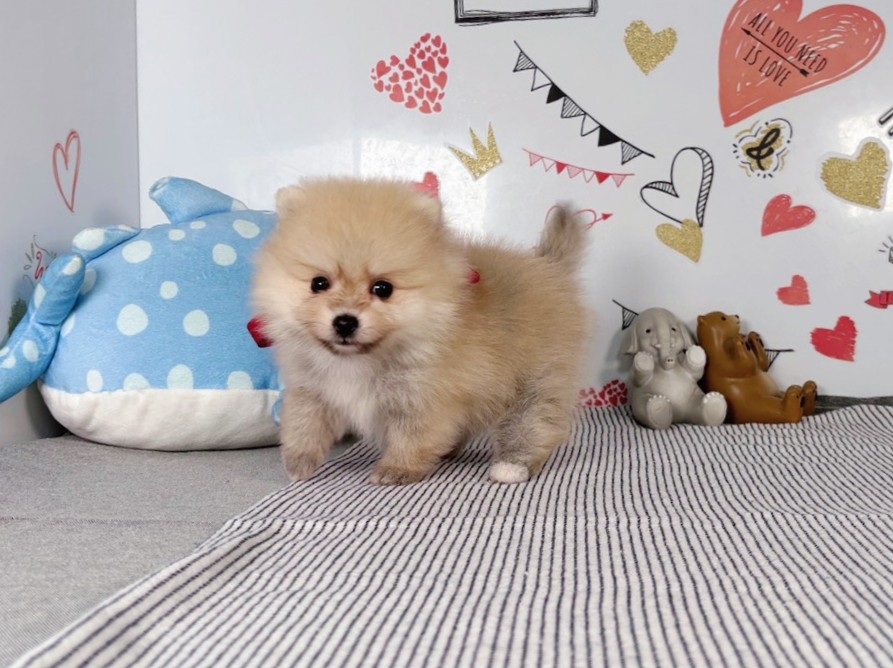 赤ちゃん写真2-2