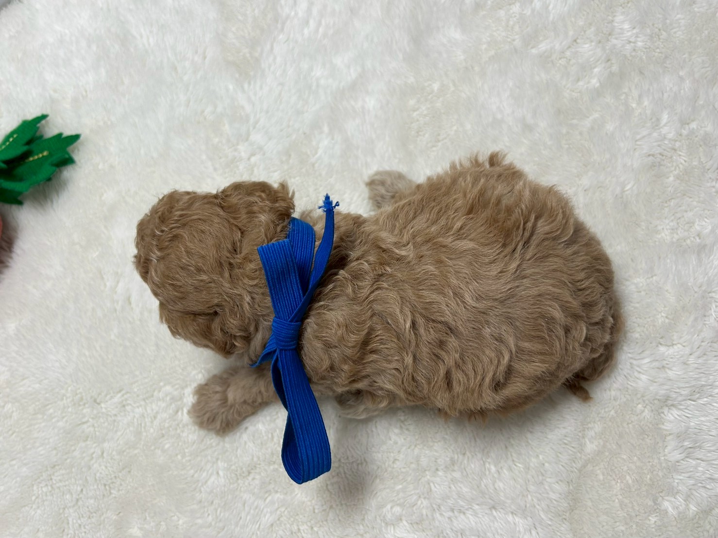 赤ちゃん写真2-3