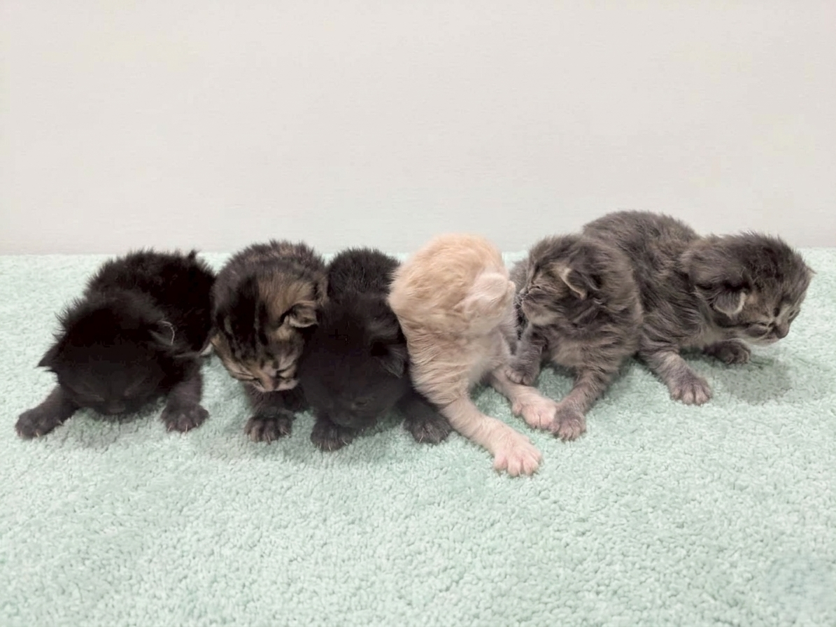 赤ちゃん写真1-3