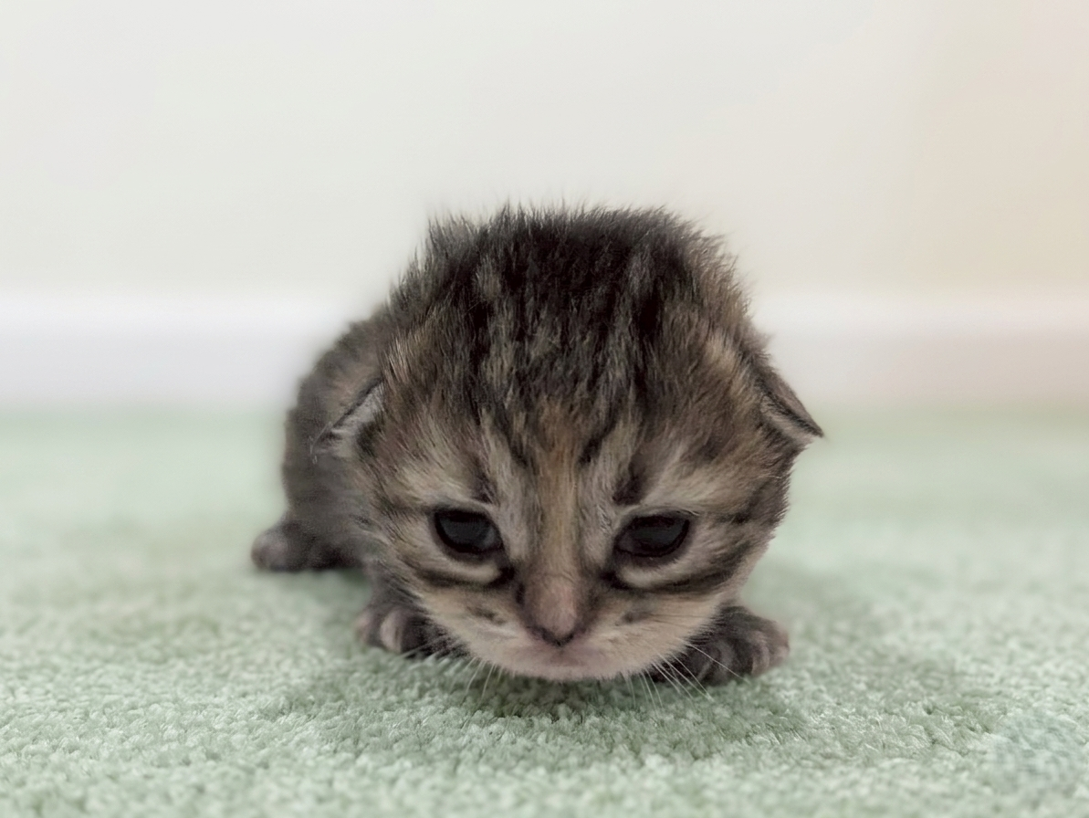 赤ちゃん写真1-1