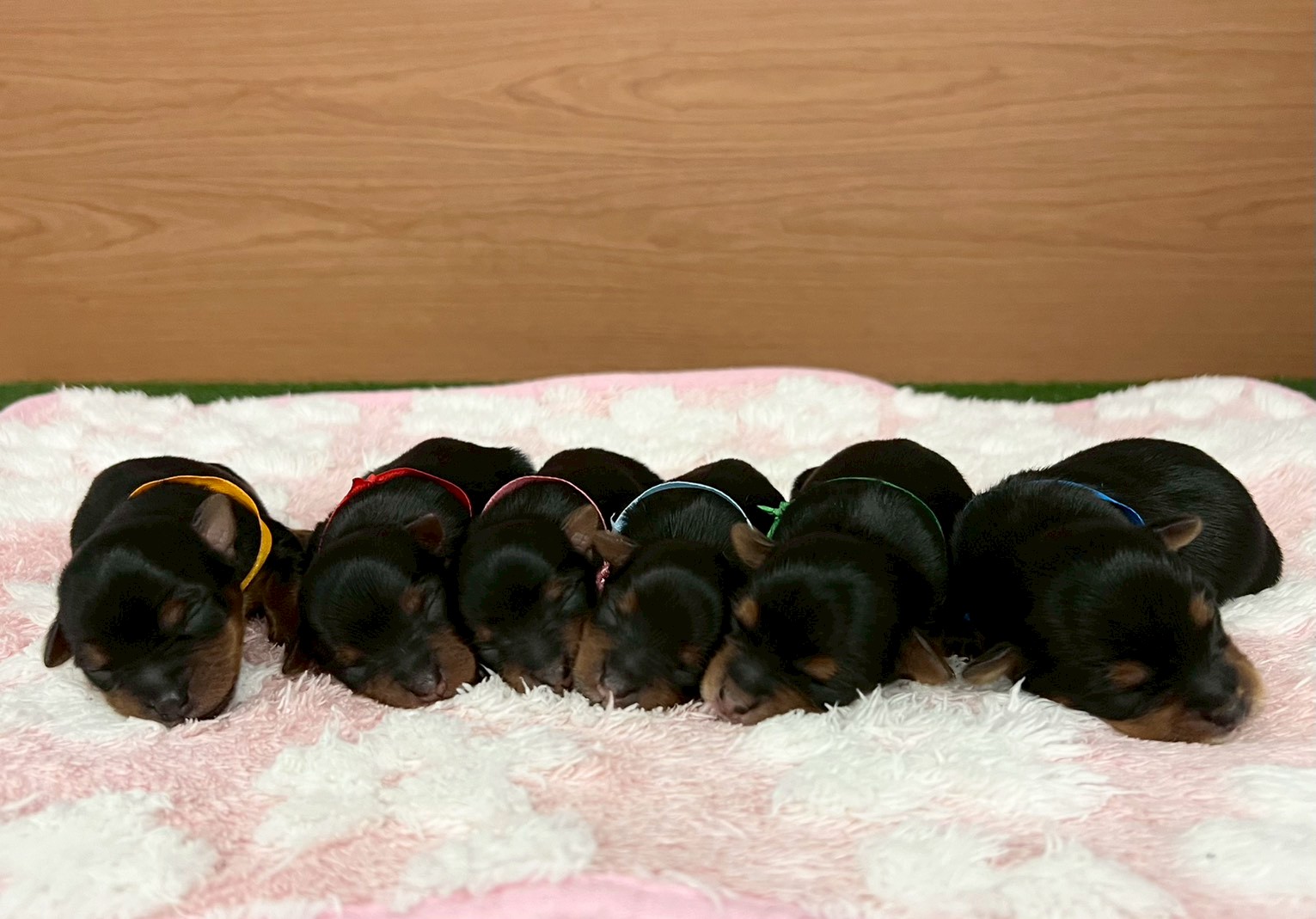 赤ちゃん写真1-3