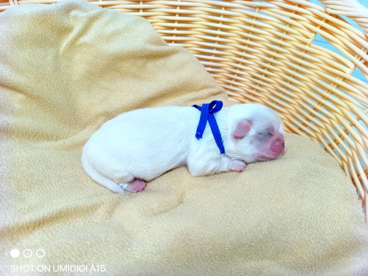 赤ちゃん写真1-2