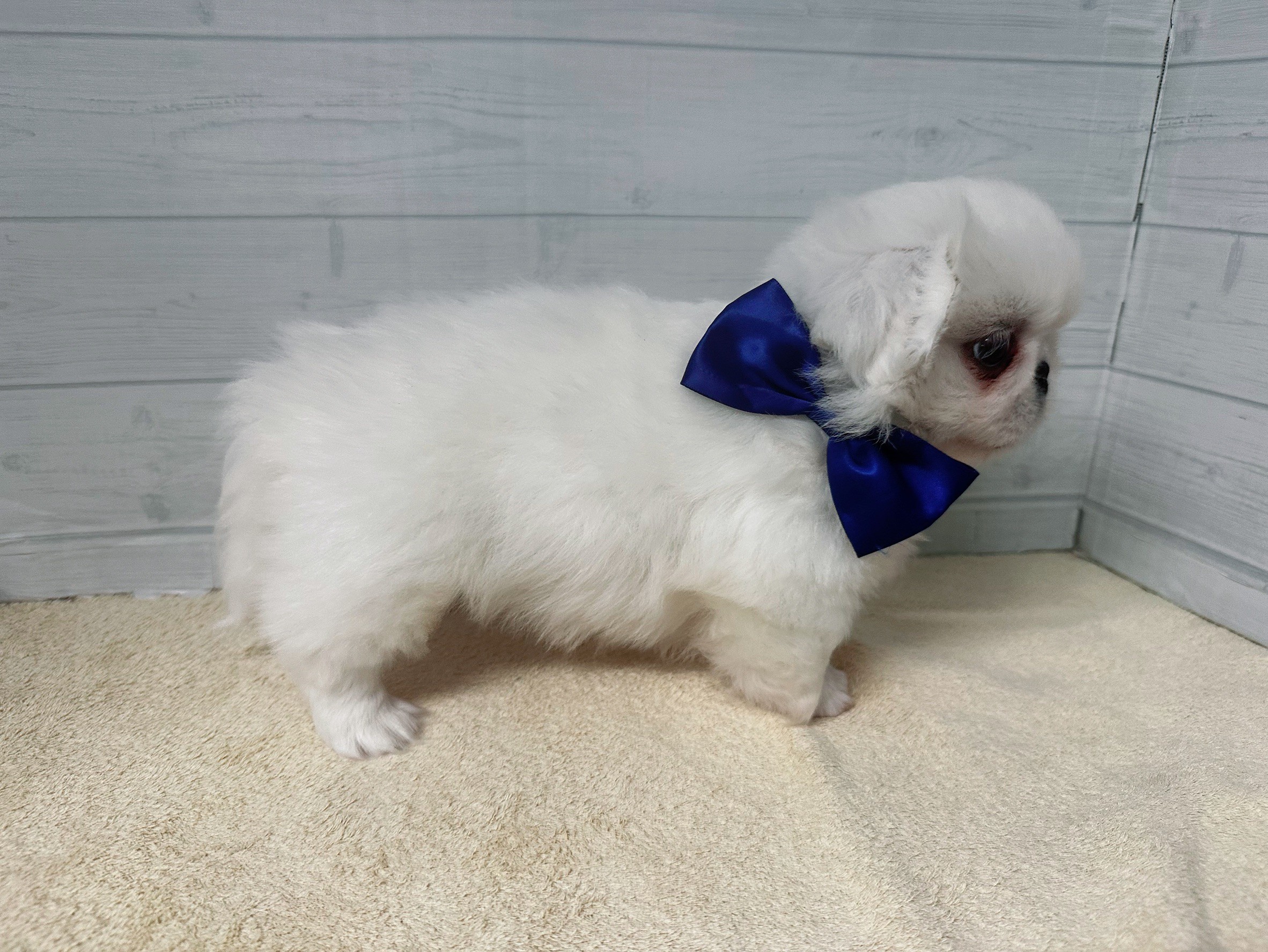 赤ちゃん写真3-2