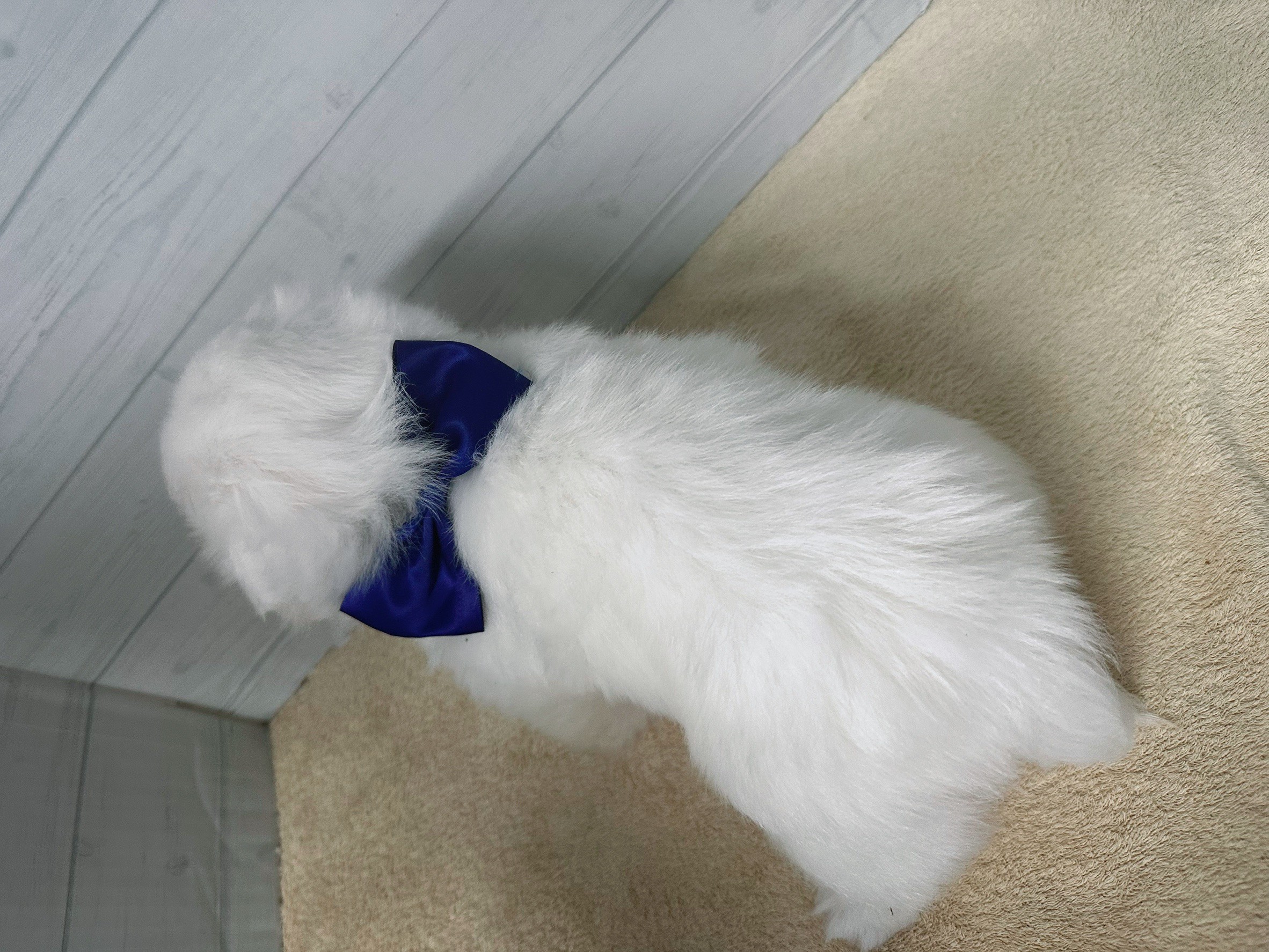 赤ちゃん写真3-3
