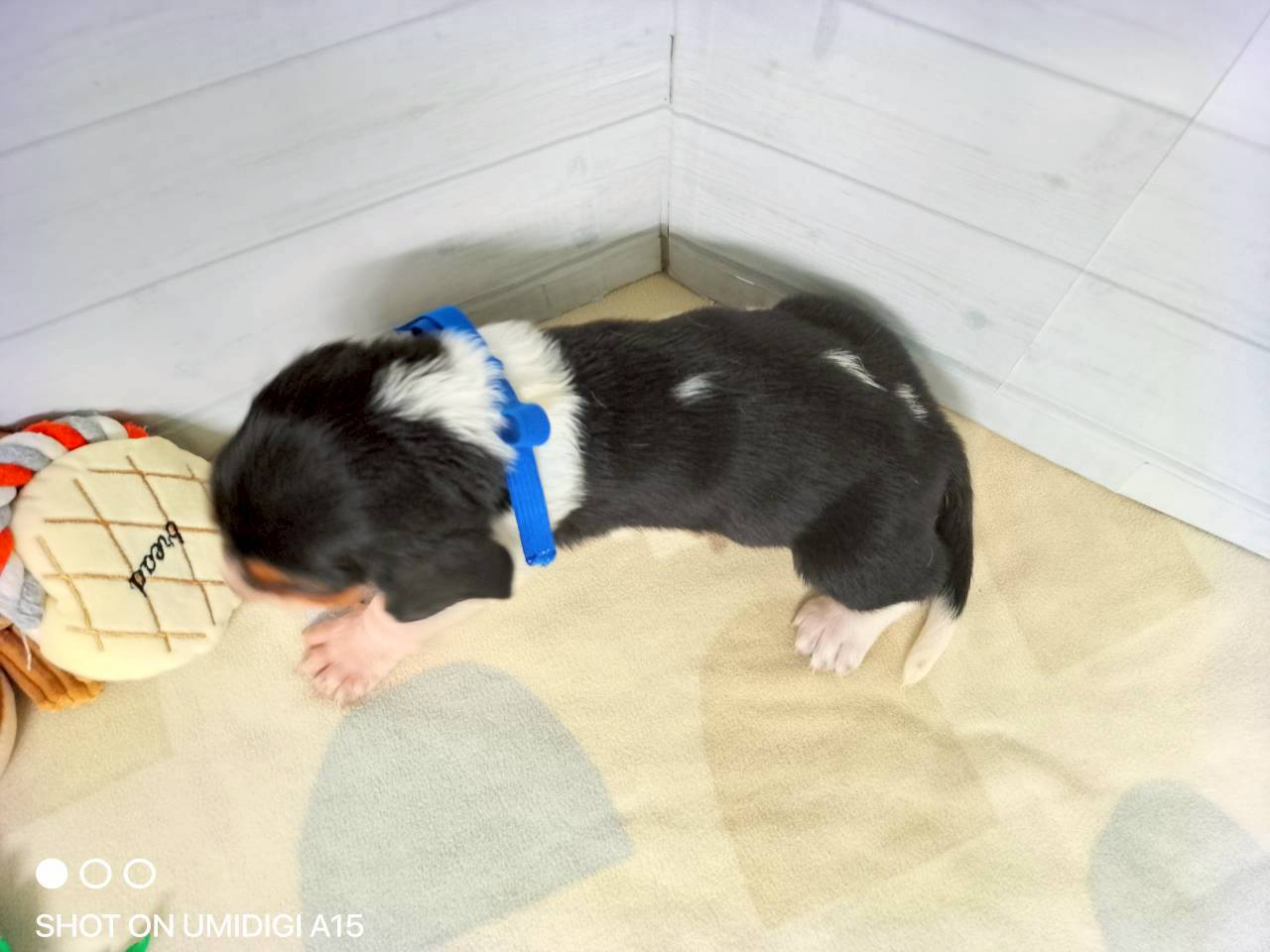 赤ちゃん写真2-3