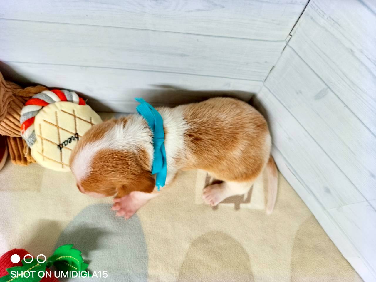 赤ちゃん写真2-3