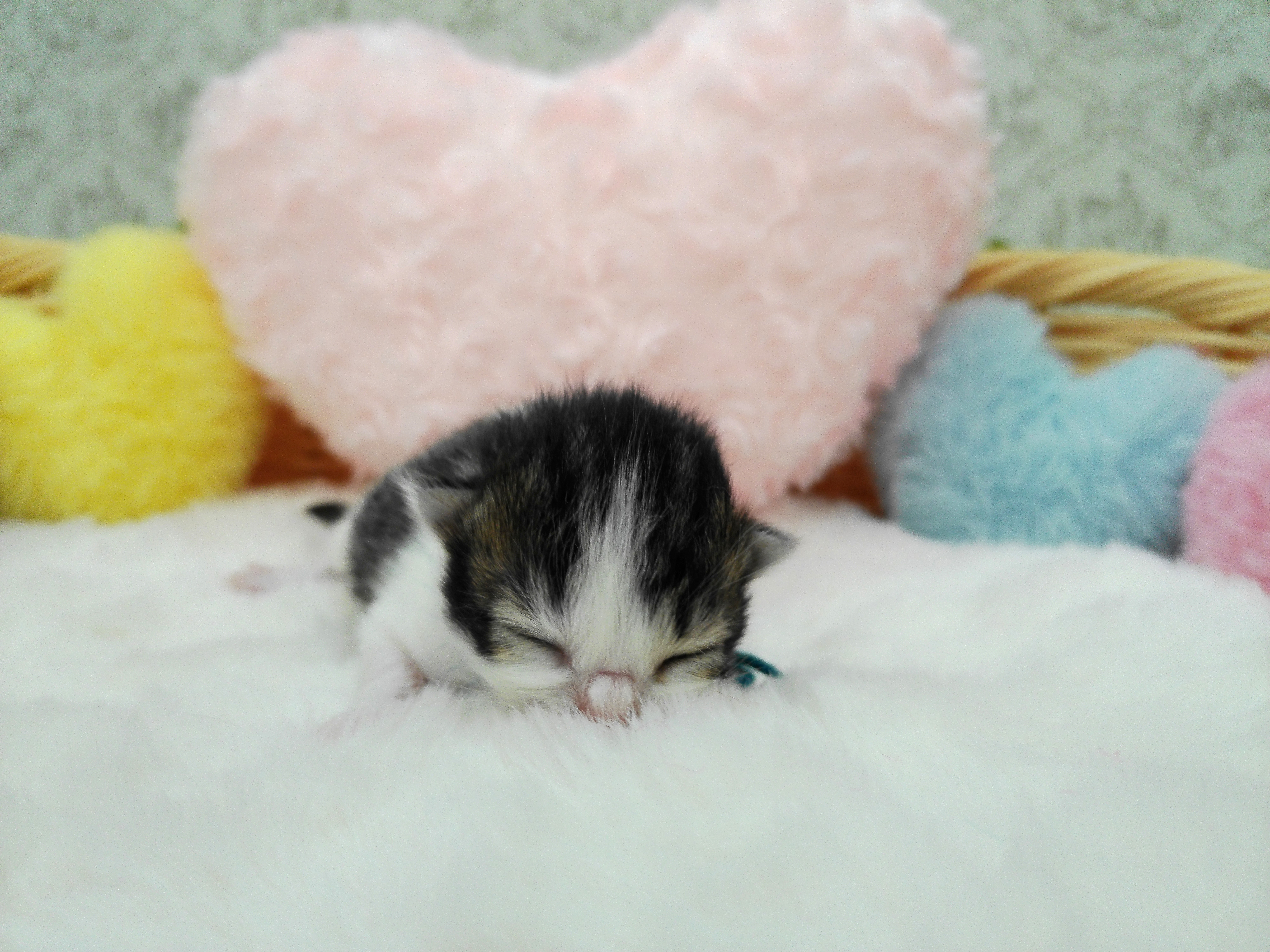 赤ちゃん写真1-1