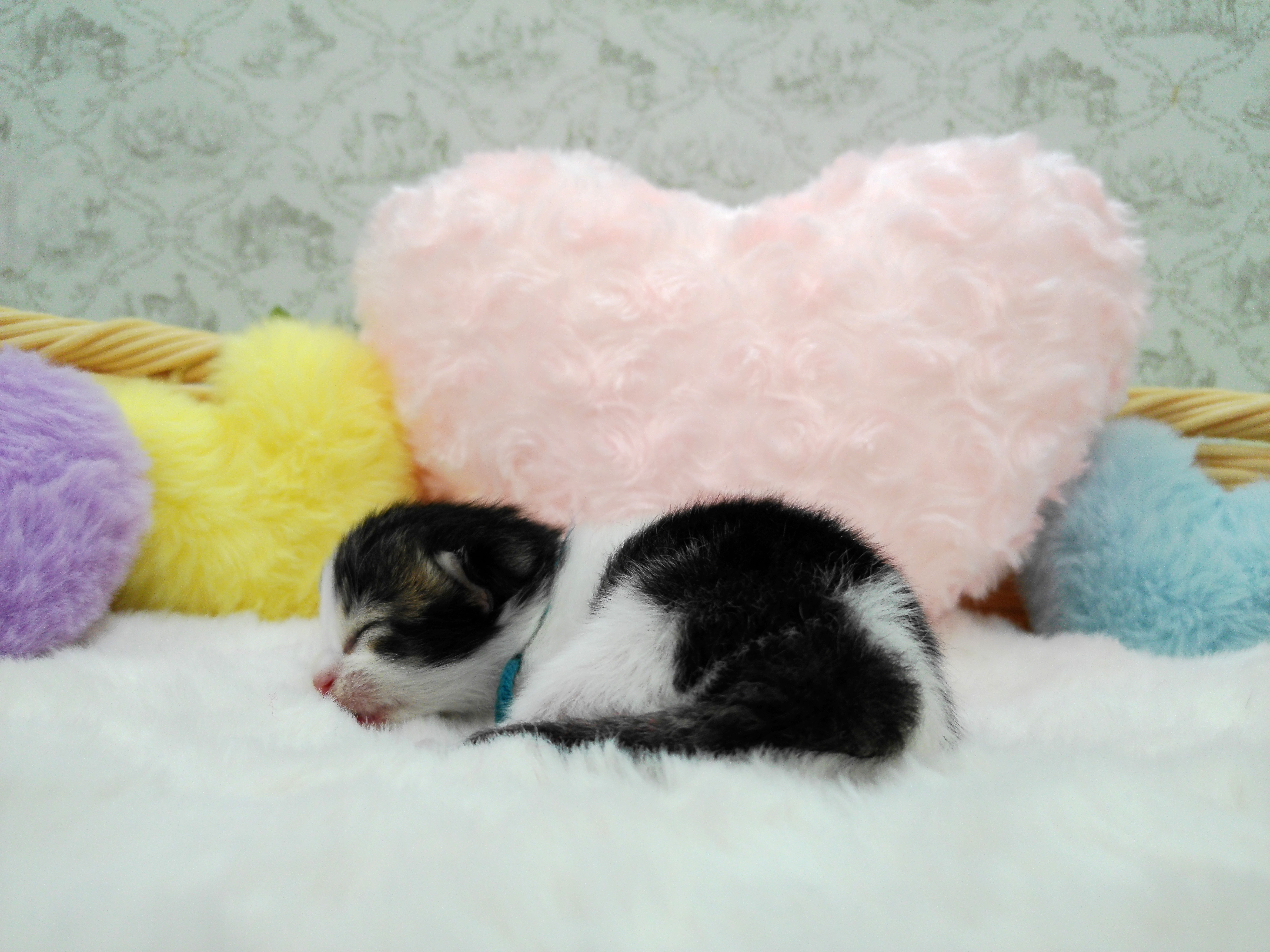 赤ちゃん写真1-2